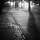 Image of Central Park Sidewalk - New York City