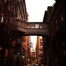 Image of Twilight in Tribeca